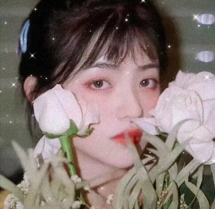 青春祭