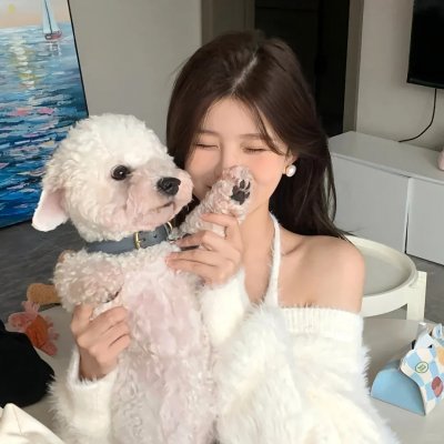 假偶天成 电影版